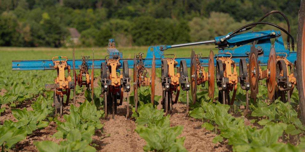 Die neuen Jäkel Hackmesser lassen sich an den meisten gängigen Hacksystemen montieren.