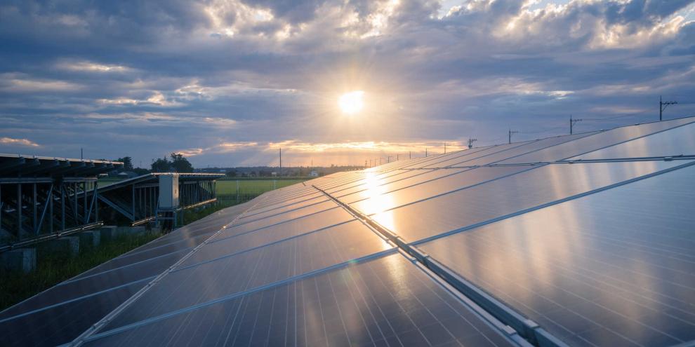 Ein Solarpark sowie Photovoltaikanlagen wurden in Sachsen und Brandenburg von Dieben heimgesucht. Die Einbrecher verursachten schwere Schäden. (SYMBOLBILD)