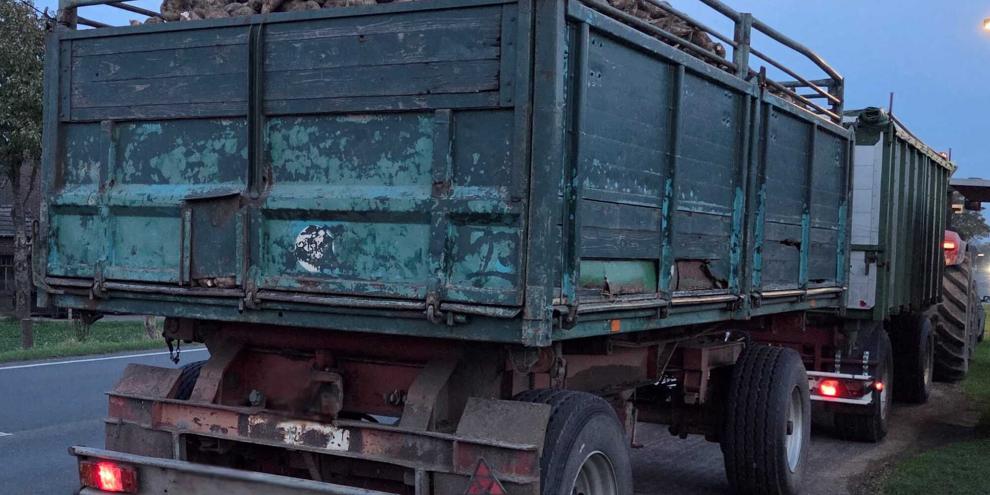 Ein Anhänger mit Rüben in schlechtem Zustand