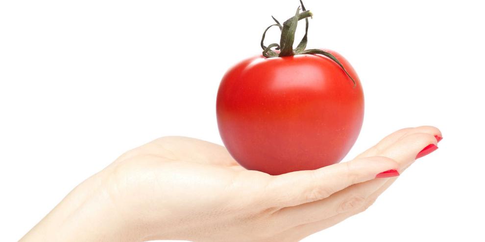 Niederländer haben Tomaten ganz ohne Pflanze wachsen lassen. (Symbolbild)