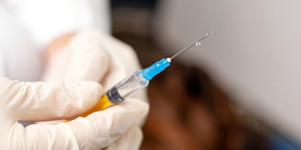 Tierarzt bereitet eine Injektion vor