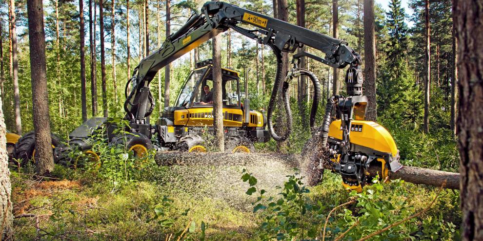 Wer nicht im Wald arbeitet, sieht Harvester selten aus der Nähe.