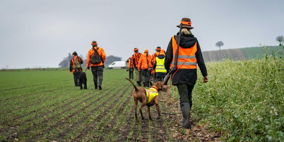 Bei den Treibjagden in NRW lagen im vergangenen Jagdjahr deutlich weniger Hasen, Kaninchen, Fasanen und Tauben auf der Strecke.