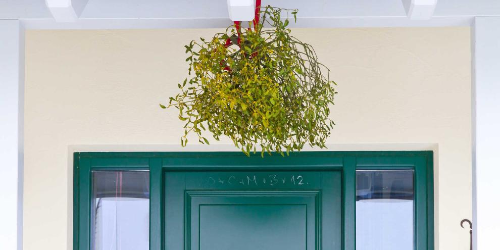 Mistelzweige sind mehr als nur Zierde.