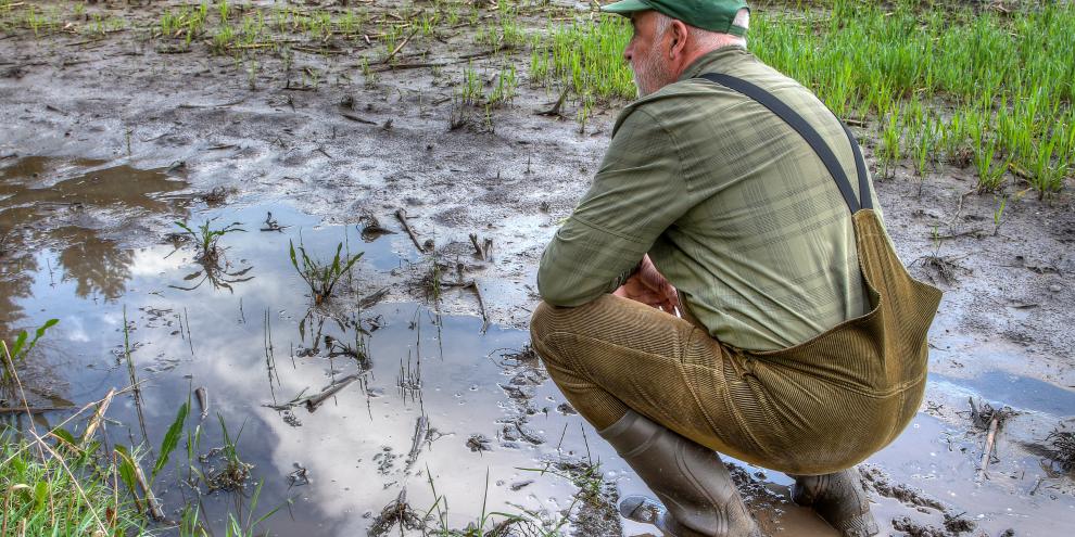 Der Schutz vor Hochwasser ist auf Agrarflächen nicht immer gegeben.