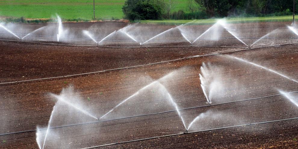 Bewässerung-AdobeStock_23729311