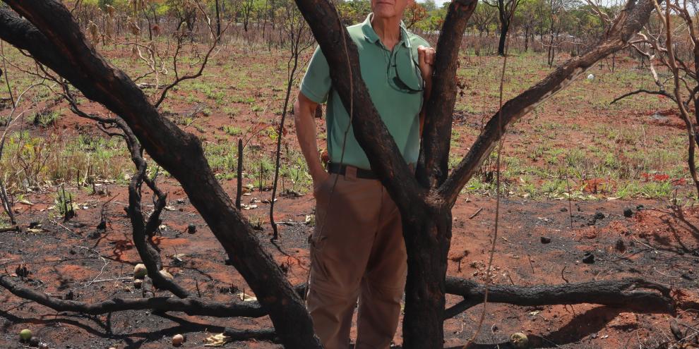 Menschen sorgen sich weltweit um Klima und Waldschutz. Aber bleibt das so, wenn andere Krisen dazukommen?