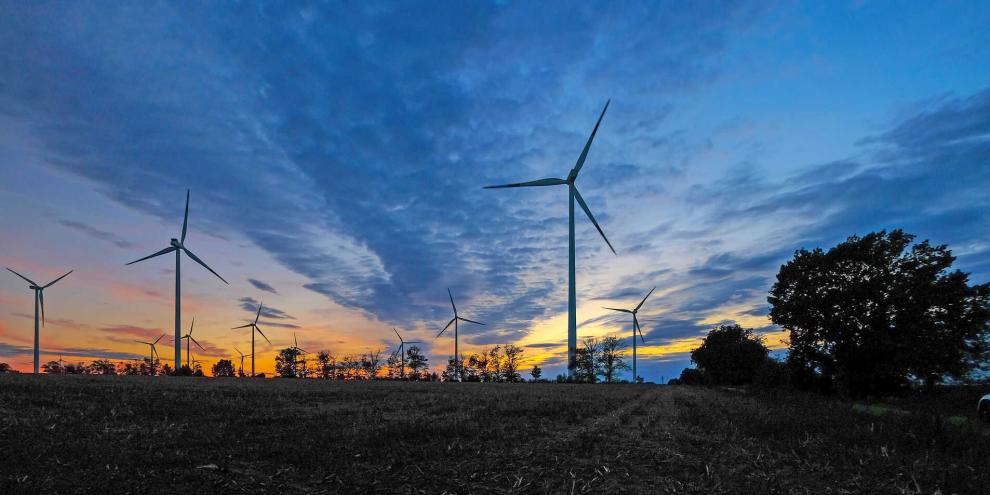 Die Strukturen vieler Reviere verändern sich derzeit.