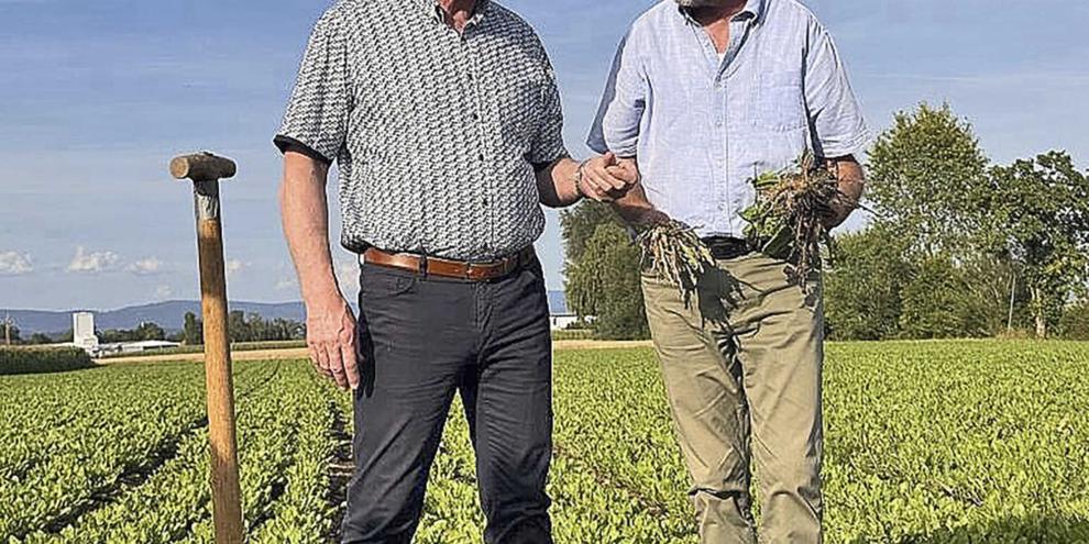 Bundeslandwirtschaftsminister Alois Rainer informiert sich bei Dr. Fred Eickmeyer (re.) von der Firma Eskusa über das Potenzial von Naturkautschuk aus russischem Löwenzahn.