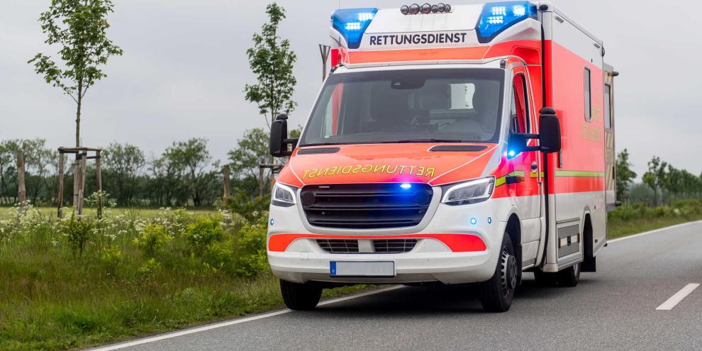 Ein Hirsch wurde im Heidekreis bei einem Unfall gegen einen entgegenkommenden Transporter geschleudert, der Beifahrer war sofort tot (Symbolbild).