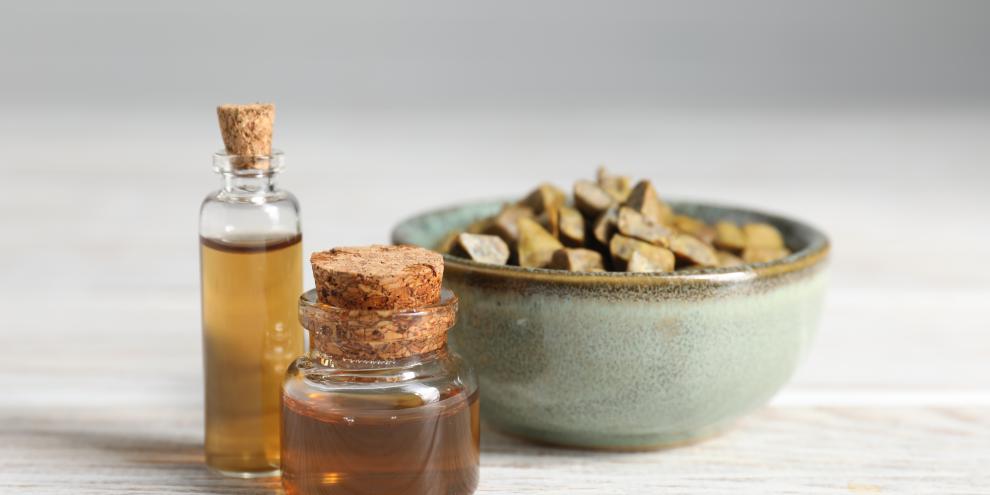 Propolis-Tinktur selber machen