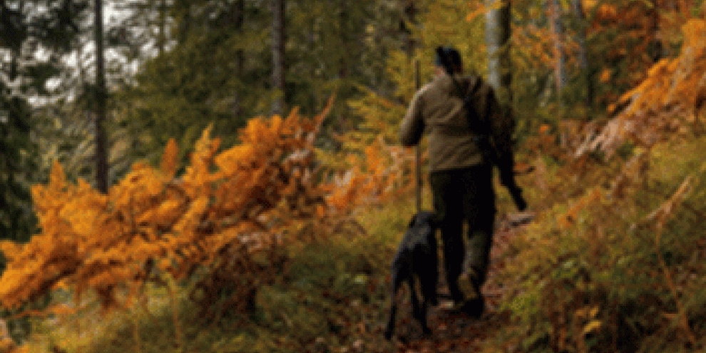 Tetanus-Gefahr für Jäger: Kleine Wunden, großes Risiko