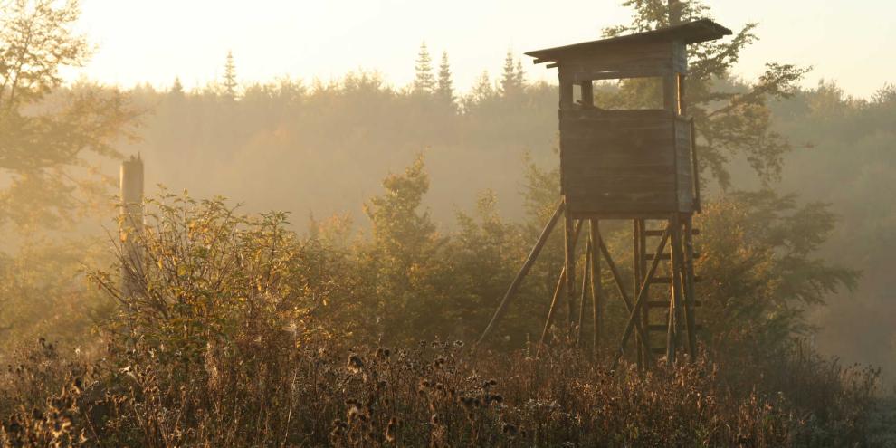 Tierschützer zerstörten mehrere Hochsitze.