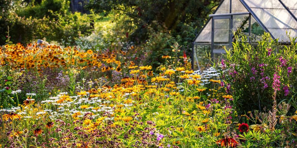 Die Gartensaison in 2025 war geprägt von einem trockenen Frühling und einem nassen Sommer.