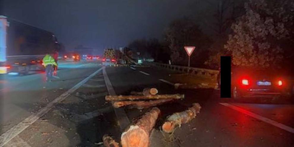 In Niedersachsen rutschten Baumstämme von einem Lastwagen und fielen auf die Autobahn. Eine Frau konnte nicht mehr bremsen. Es kam zum Zusammenprall.