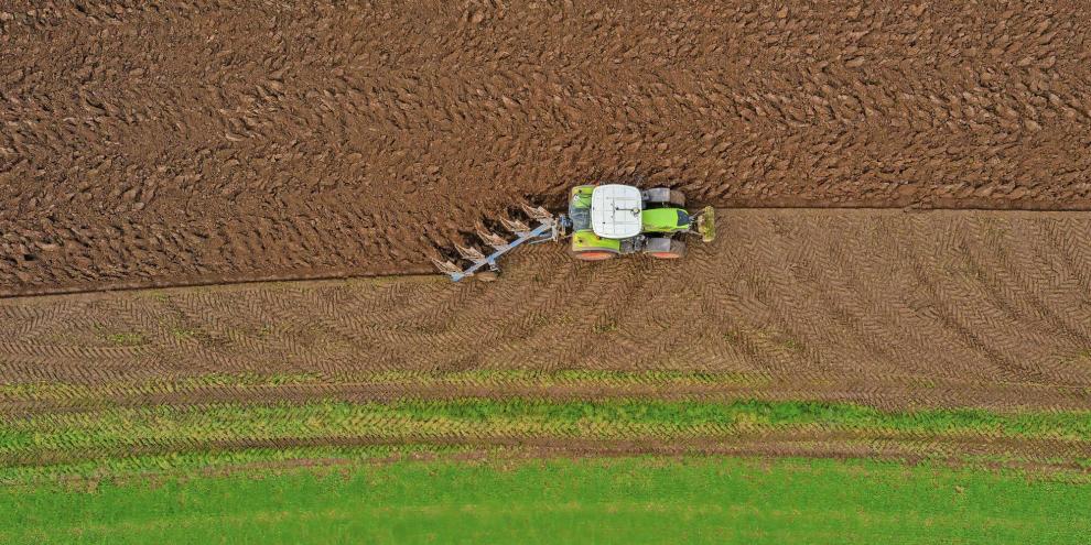 Pflügen gilt als wichtigste Innovation der Landwirtschaft. Doch es gibt auch andere Vorstellungen.