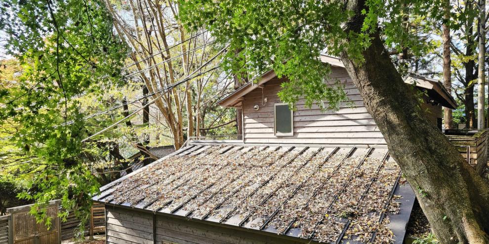 Gartenhaus-Dach-AdobeStock_1597672679