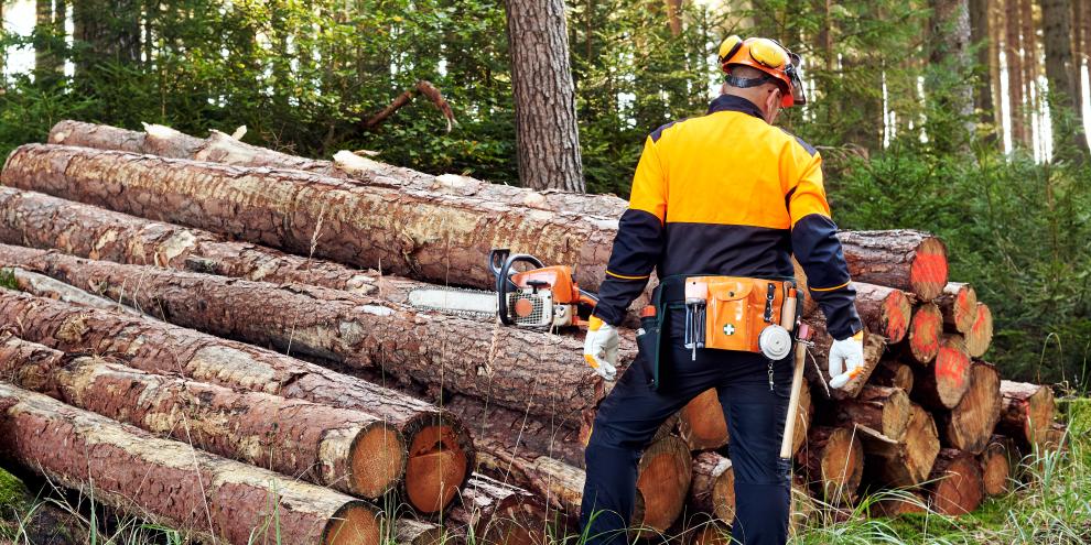 Waldarbeiter vor Holzpolter