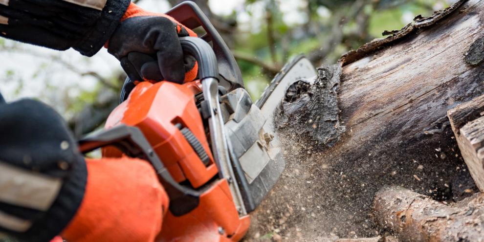 SYMBOLBILD: Unschlagbarer Preis gegen zuverlässige Marken-Säge - wer schneidet im Test besser ab? Ein Billigmodell aus China tritt gegen eine Stihl Made in Germany an.