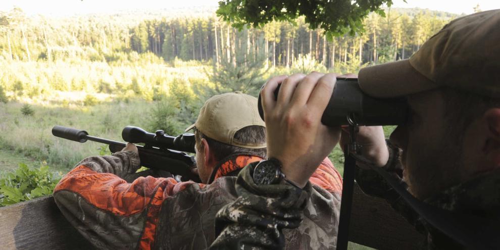 Vier Augen sehen mehr als zwei. Das kann in vielen Situationen hilfreich sein.