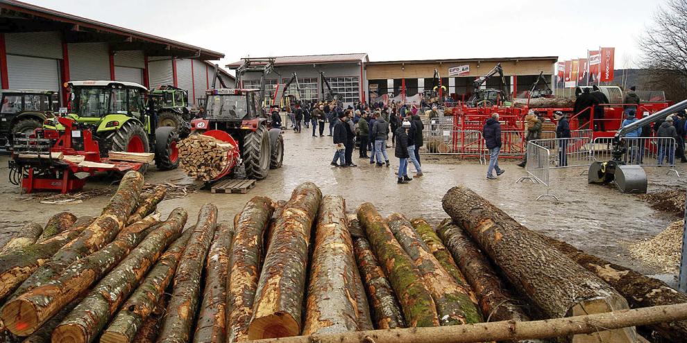 Fast das gesamte Firmenareal in Darast wurde anlässlich der EiFo-Forsttage 2025 zum Ausstellungsgelände umfunktioniert. Besonders beliebt waren die Live-Vorführungen.