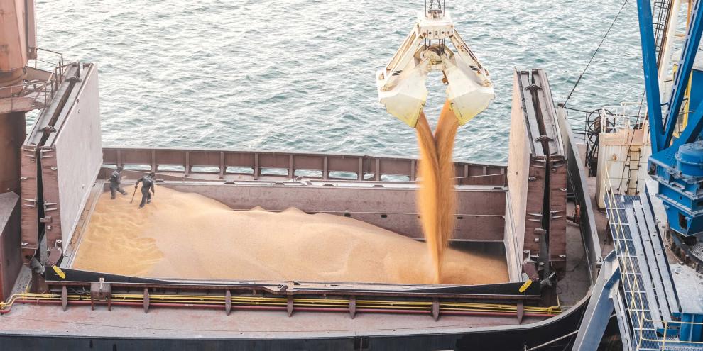 Das Bundesagrarministerium will Agrarexporte zur politischen Priorität machen. Dafür soll unter anderem ein Exportkoordinator eingesetzt werden.