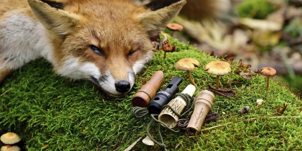 In der Ranzzeit wechselt der Lockjäger von Hasen- und Kaninchenklage zu Ranzbeller oder Fuchsflöte.