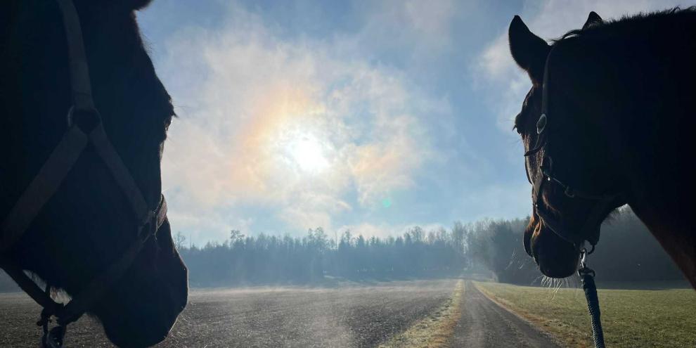 Zuversichtlich ins neue Jahr blicken gelingt, wenn Ihr die Silvester-Tipps von Ross&amp;Reiter beherzigt.