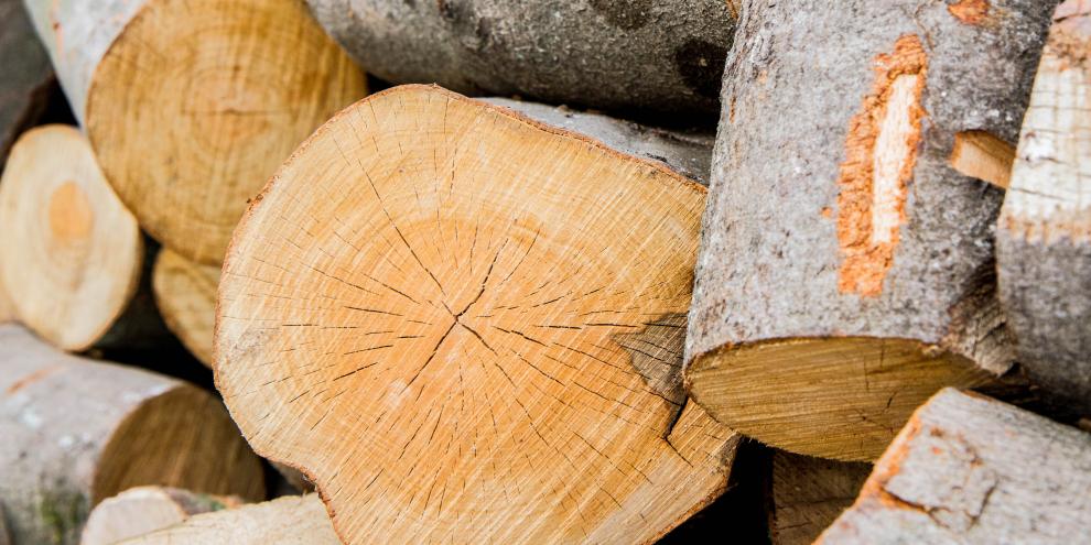 Buchenholz-Holz-Buch