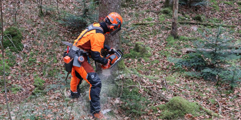 Wenn es in Holz geht, müssen Technik, Werkzeuge und Anwender topfit sein.