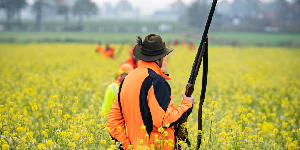 Die Jagd kritisch betrachten? Gerne. Aber dann auch faktisch richtig.