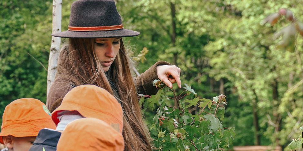 Anna-Karina Kemper und der Bienenwald in Sachsen sind Gesichter und Waldbilder für nachhaltige Forstwirtschaft.