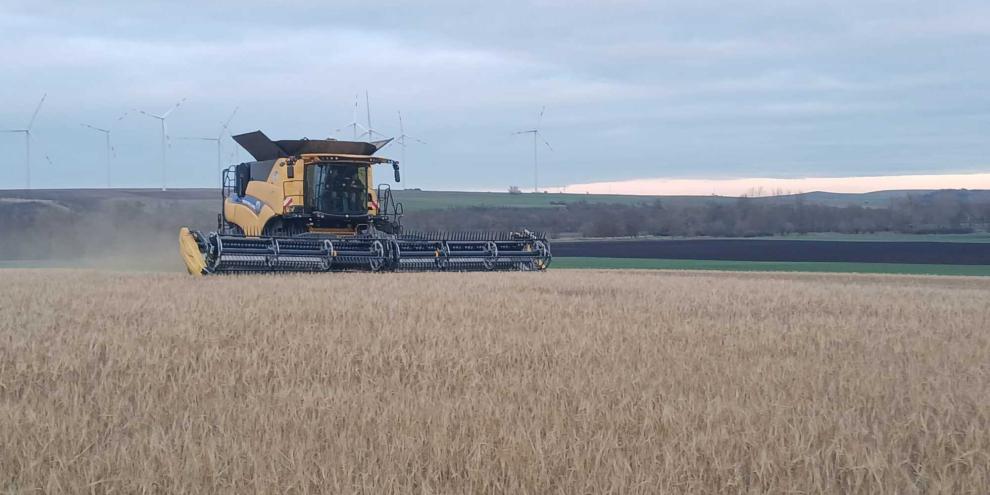 Vor wenigen Tagen, am 10. Dezember, kam auf 8 ha bei Straußfurt in Thüringen versuchsweise Sommerbraugerste vom Halm.