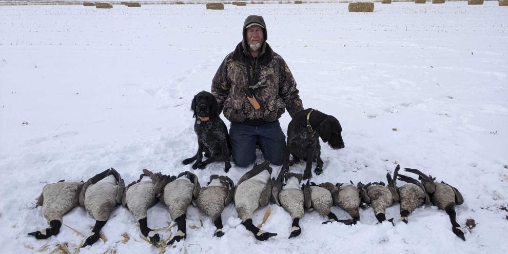 Michael Secklar mit seinem Drahthaaren „Caddie von Bärenwald“ (links) und „Olena III vom Jagdkönig“.