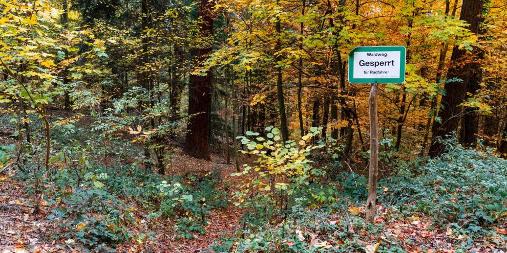 Waldweg-Gesperrt-AdobeStock_232658000
