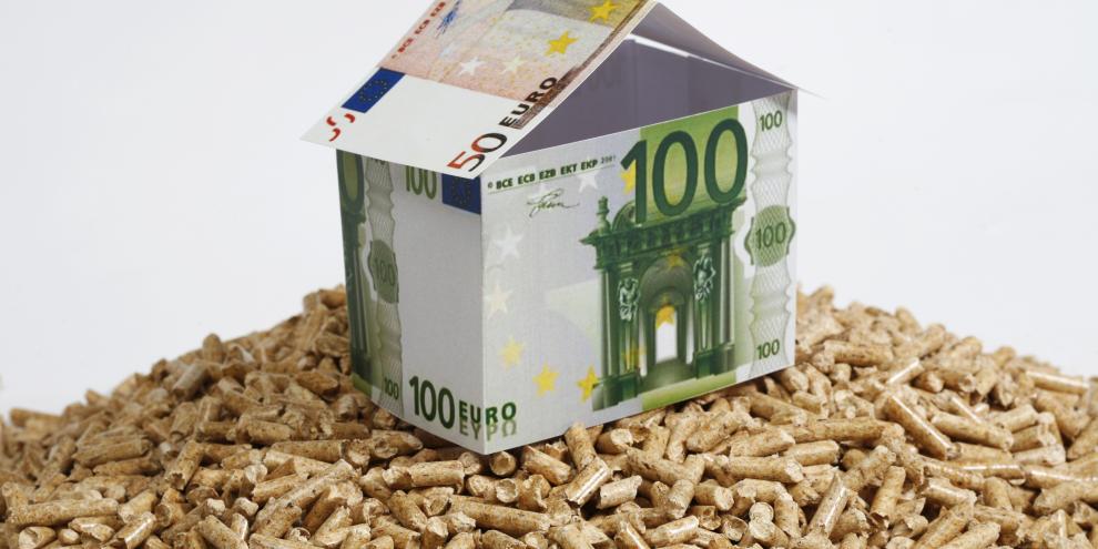 Pellets mit Haus aus Geldscheinen