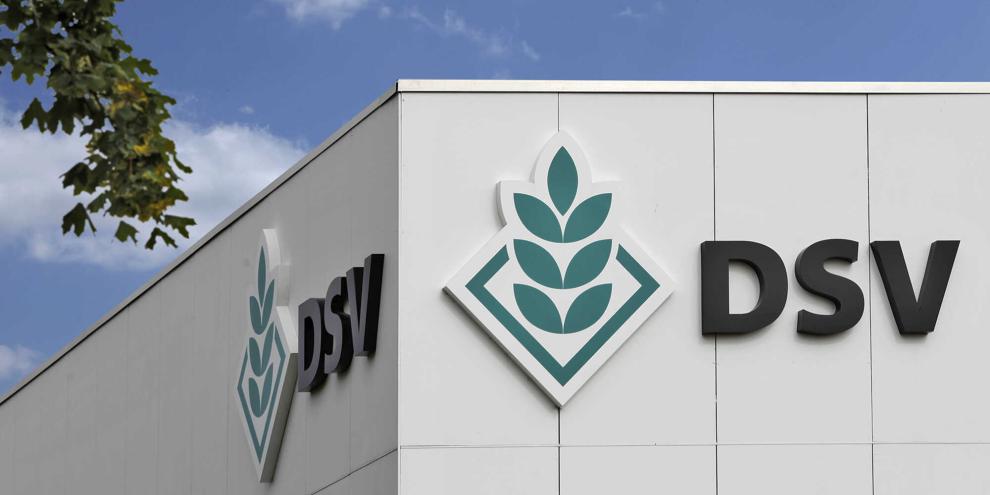 Logo der DSV AG, Lippstadt