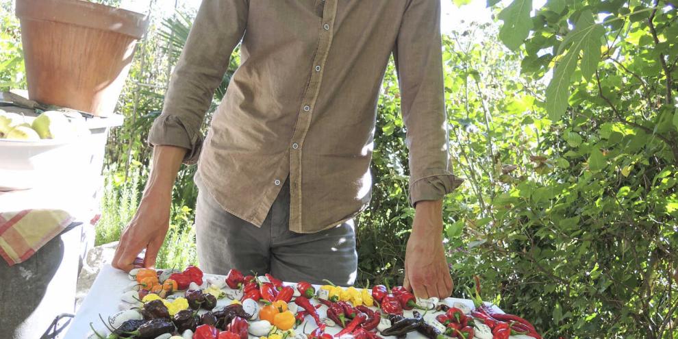 Kaum einer baut inseinem Garten so viele Chilis an: Der Chili-Rudihat den Dreh raus.
