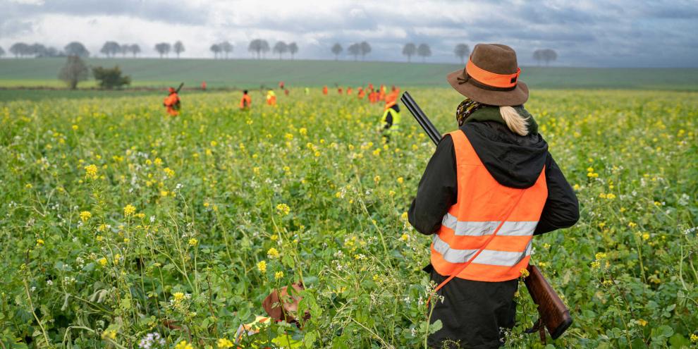 Unterwegs auf der erstern Treibjagd. Jetzt bloß nichts falsch machen ...Der BZL hat eine Broschre herausgegeben, was sich im Waffengesetz wie ändern muss.