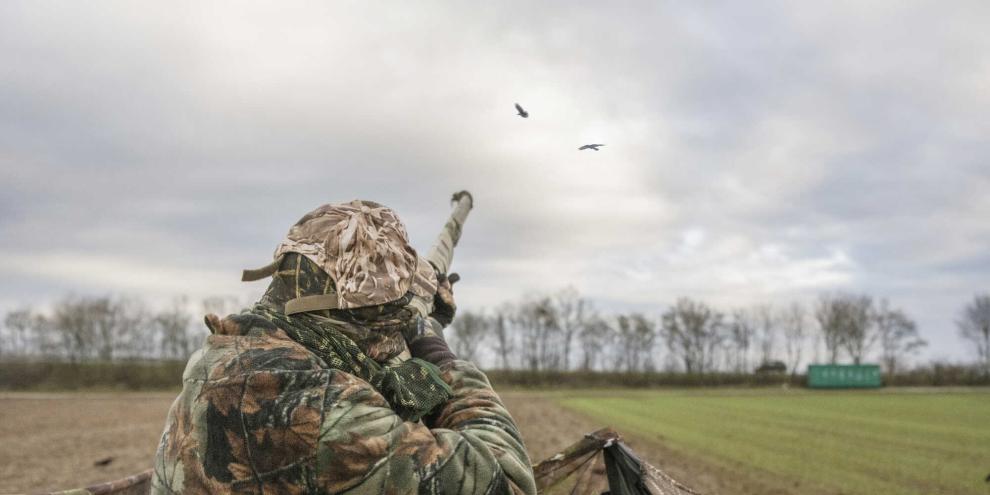 Die Lockjagd auf Rabenkrähen ist eine spannende und für den Artenschutz essentielle Jagdart.