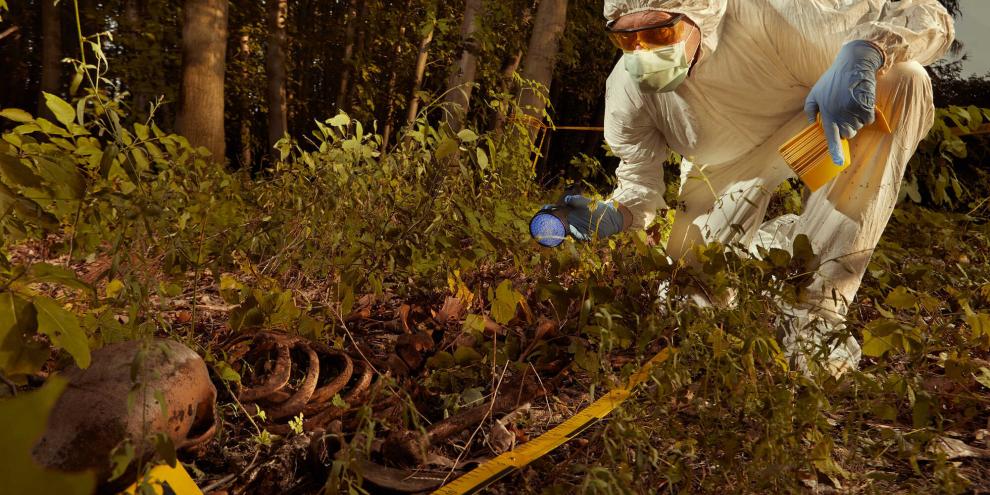 Knochen im Hainwald rufen die Polizei auf den Plan (Symbolbild).