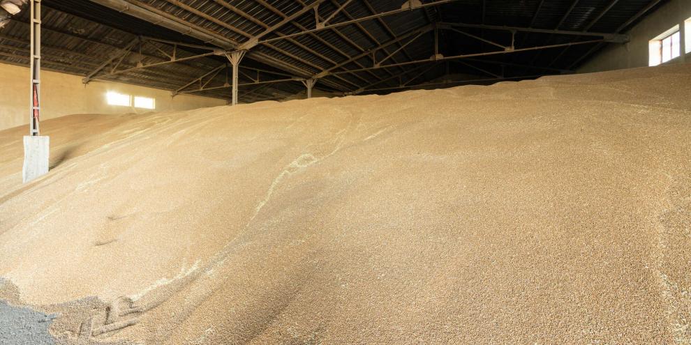 Getreide-Lager-AdobeStock_519507340