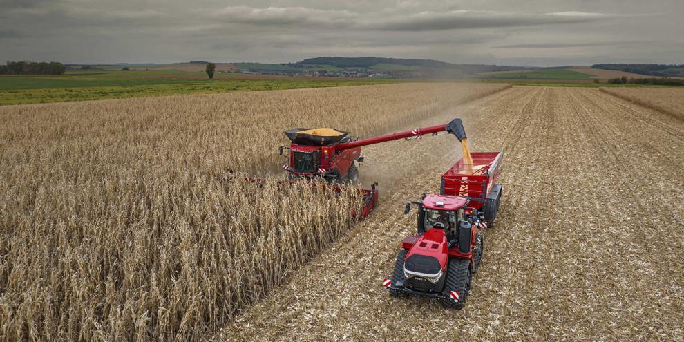 Speziell für Europa hat Case IH den 12 m breiten 16-reihigen Maispflücker entwickelt.