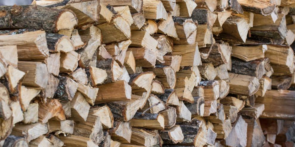 Brennholz-AdobeStock_112463983