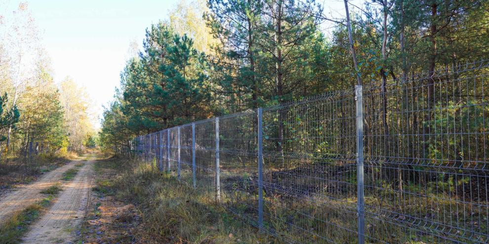 Wald-eingezäunt-AdobeStock_1206192260