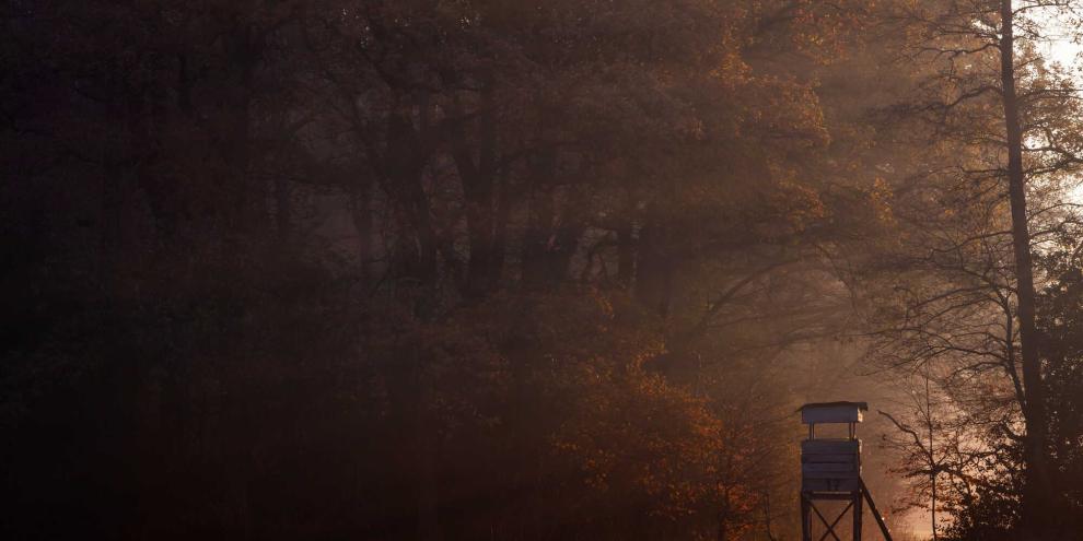 In Mecklenburg-Vorpommern kam es 2025 zu einem tödlichen Jagdunfall.