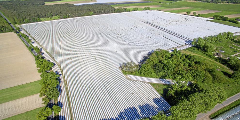 Für Biodiversität und Landschaftsbild ist der Anbau von Folienspargel nicht unbedingt ein Gewinn.