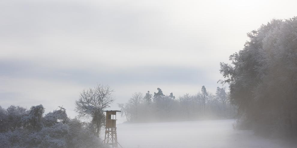Ein Hochsitz in einer Winterlandschaft