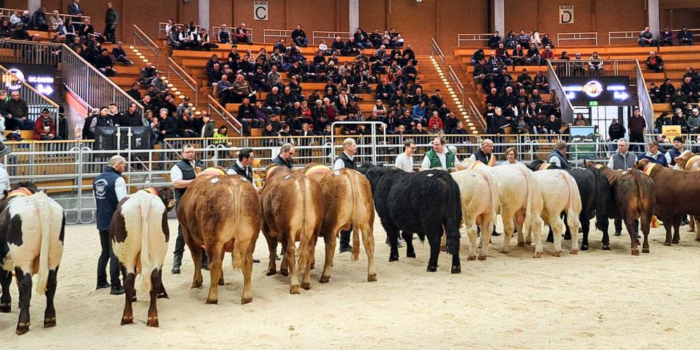 Körsieger in Ilshofen