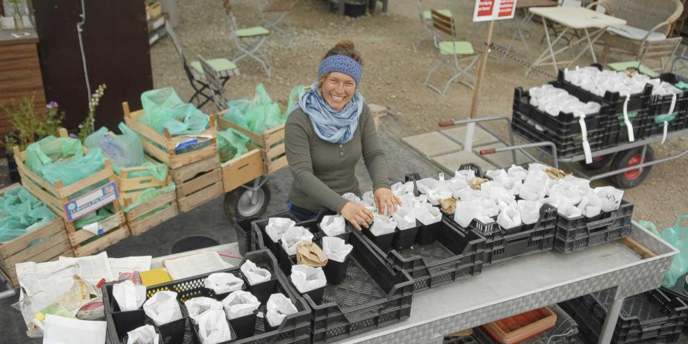 Im Winter das selbst gesammelte Saatgut zu sortieren, gehört zum Alltag in der Gärtnerei AllgäuStauden.